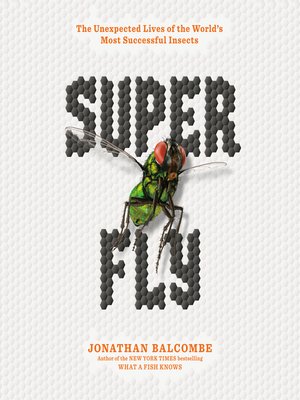 cover image of Super Fly